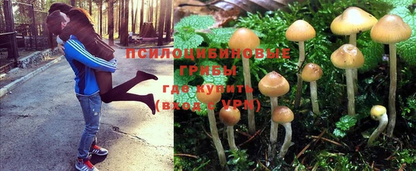 винт Алзамай