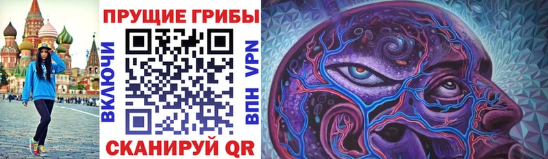 Купить закладки  Тара  Псилоцибиновые грибы мухоморы 